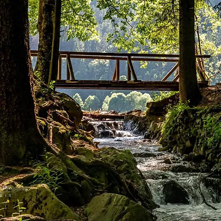 Haus Alfred, Aitern, Belchen, Schwarzwald Appartement Aitern
