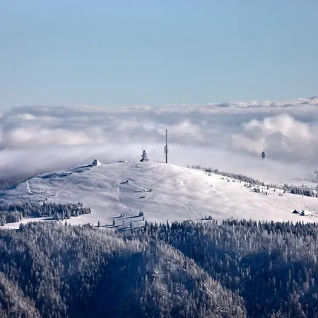 Haus Alfred, Aitern, Belchen, Schwarzwald Appartement