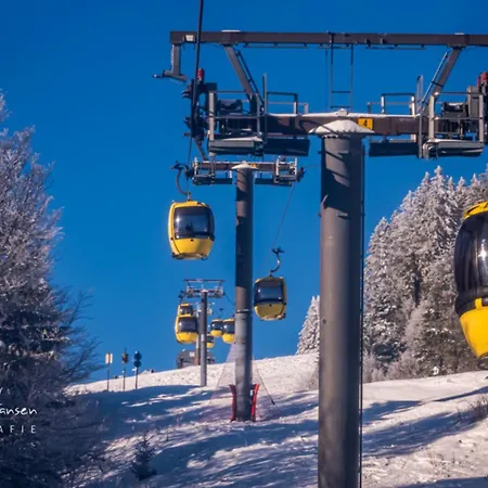 Haus Alfred, Aitern, Belchen, Schwarzwald Appartement