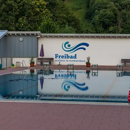 Appartamento Haus Alfred, Aitern, Belchen, Schwarzwald