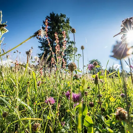 Haus Alfred, Aitern, Belchen, Schwarzwald Appartement Aitern