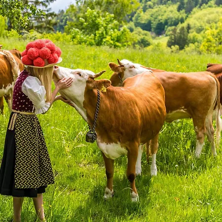 Haus Alfred, Aitern, Belchen, Schwarzwald Appartement *