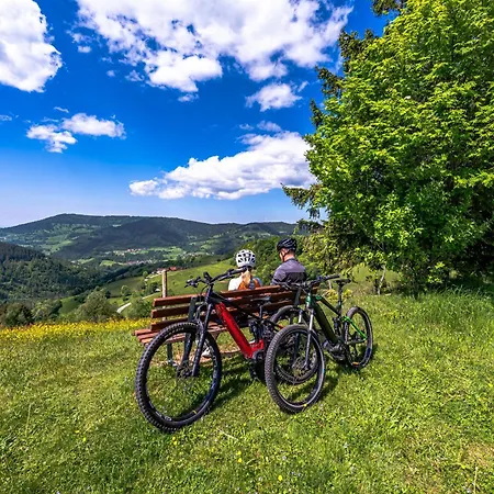 Appartement Haus Alfred, Aitern, Belchen, Schwarzwald Aitern