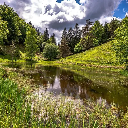 Appartamento Haus Alfred, Aitern, Belchen, Schwarzwald Aitern